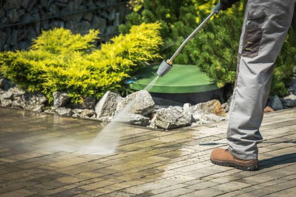 Best Winterizing Services  in Dover, FL