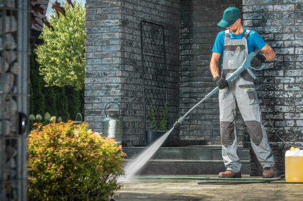 Best Solar Panel Cleaning  in Dover, FL
