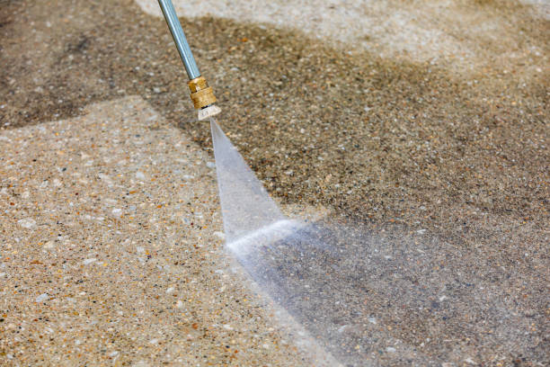 Boat and Dock Cleaning in Dover, FL