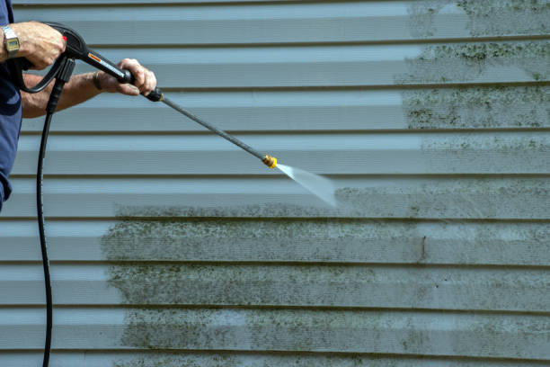 Best House Exterior Washing  in Dover, FL