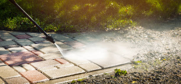 Best Animal Enclosure Cleaning  in Dover, FL
